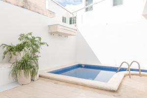 a swimming pool in a white room with plants at Casa Medina in Chetumal