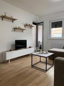 a living room with a tv and a coffee table at Vasiljević Apartman Koviljača in Banja Koviljača
