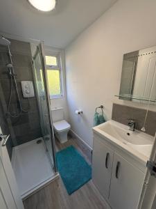 a bathroom with a shower and a sink and a toilet at Seagulls Rest in Isle of Wight