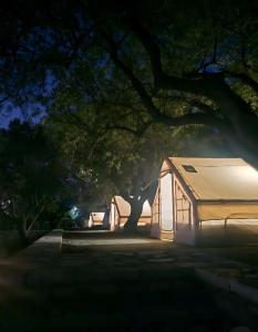 Ein großes weißes Zelt steht nachts unter einem Baum. in der Unterkunft Cimarte The Path Lukove in Lukova + 16 Fotos