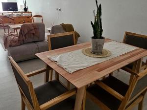 a dining room table with a potted plant on it at PARANA Parque y CPC in Paraná