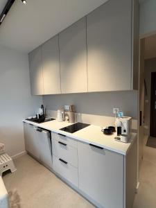 Η κουζίνα ή μικρή κουζίνα στο ZŁOTA PLAŻA BOSZKOWO APARTAMENT KASZMIROWY DE LUXE nr 15