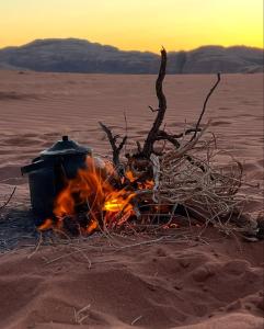 Φυσικό τοπίο κοντά σε αυτό το κάμπινγκ