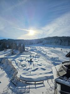 a snow covered ski slope with the sun in the background at Czarna Perła Apartamenty Czarna Góra 512 in Sienna +7 photos
