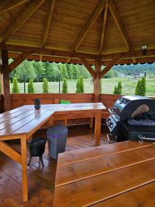 einem Holzpavillon mit einem Picknicktisch und einem Grill in der Unterkunft Bieszczadzka Perełka in Równia