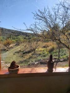 Un alféizar de ventana con dos cactus con vistas en Pie de Sierra, en Los Hornillos