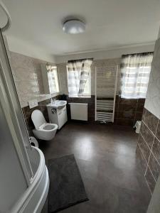 a bathroom with a toilet and a sink at Chalupa Domovina in Jiřetín pod Jedlovou