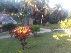een tuin met een bos bomen in het gras bij Antafondro Lodge in Sainte Marie