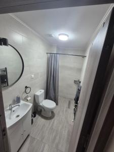 a bathroom with a toilet and a sink and a mirror at Casa Marm in Călimăneşti
