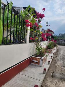 a row of potted plants on the side of a building at Luxury Posada inn in Los Amates