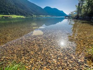 ヴァイセンゼーにあるDas Leonhard - Naturparkhotel am Weissenseeの山を背景とした大量の水