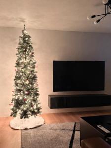 Μια τηλεόραση ή/και κέντρο ψυχαγωγίας στο Huge Private Suite with Pool Table, Sauna & Fire Pit