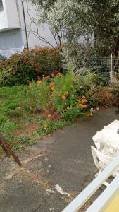 Κήπος έξω από το Residenza Al giardino