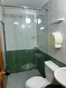 巴兰基亚Hotel Georgina的带淋浴、马桶和水槽的浴室