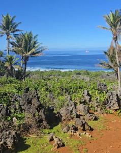 Φυσικό τοπίο κοντά σε αυτή η παραθεριστική κατοικία +10 φωτογραφίες
