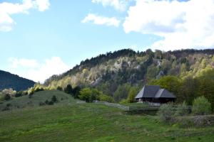 a cabin in the middle of a grassy hill at Vikendica RANKOVIĆI in Mokra Gora