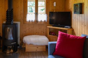 un soggiorno con divano e TV a schermo piatto di Le Petit Mayen a Châtel-Saint-Denis Altre 22 foto