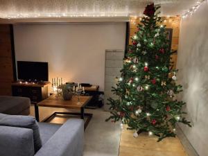 TV a/nebo společenská místnost v ubytování Small atypical house, in central Alsace