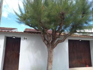 a pine tree in front of a building with two doors at Home Confort in Garanhuns