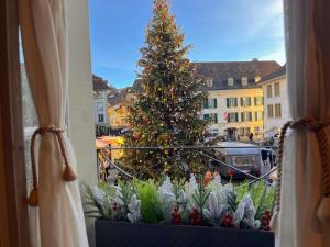 Ein Weihnachtsbaum in einem Topf im Fenster in der Unterkunft Leone Stays - Golden Castle Loft in Thun