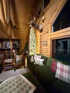 McCammonLarge Off-Grid Luxury Cabin- creek land & views的客厅配有绿色沙发和圣诞树 更多44张照片