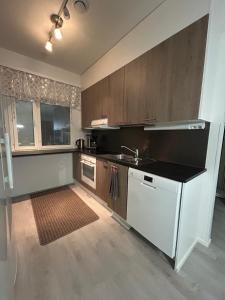 una cucina con lavello e fornello forno superiore di Vennin Rauha a Rovaniemi