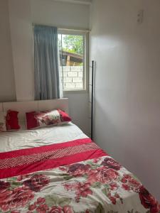 ein Schlafzimmer mit einem Bett mit roten Kissen und einem Fenster in der Unterkunft CasaRiva in Biguaçu