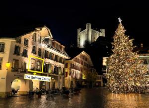 ein Weihnachtsbaum auf einer Stadtstraße bei Nacht in der Unterkunft Leone Stays - Golden Castle Loft in Thun