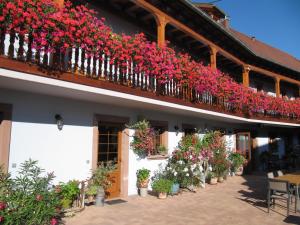 Gallery image of La Ferme de Louise in Hohengoeft