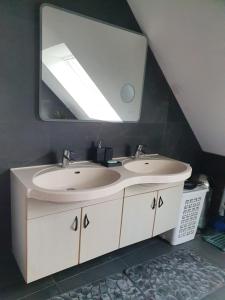 un baño con lavabo y espejo en Maison chaleureuse, en Griesheim-près-Molsheim