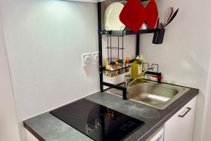 una cocina con fregadero y encimera en Bright studio with a view of the Black Forest, en Estrasburgo