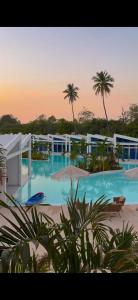 una grande piscina con palme sullo sfondo di Sababa Resort El paredon a El Paredón Buena Vista