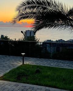 Villa Le De parus في كوبوليتي: نخلة أمام المحيط وقت الغروب