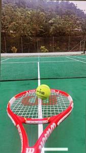 Alma y Palma Casa Campestre في Pedro Vicente Maldonado: كرة تنس جلوس فوق مضرب تنس