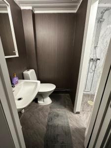 un bagno con wc, lavandino e doccia di Good Apartment's Sälen Transtrand a Transtrand