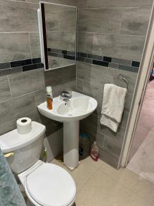 Dove Cot ParkGreen Acre的带马桶和水槽的浴室