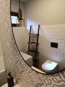 un baño con inodoro y espejo en Cicho-Ciszej Dom całoroczny 7-osobowy, en Gąsawa