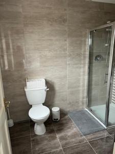 un baño con inodoro y ducha en Bragan Mountain View, en Monaghan