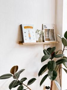 Φωτογραφία από το άλμπουμ του Jeune Hotel at Phra Singh στο Τσιάνγκ Μάι