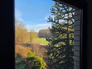 Κήπος έξω από το Wohnung am Waldrand