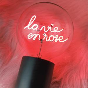 Fotografie z fotogalerie ubytování La Vie en Rose v destinaci Verviers