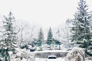 Cottage like home in Toronto trong mùa đông