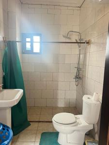 a bathroom with a toilet and a sink at Wharf 303 in Pointe-Noire