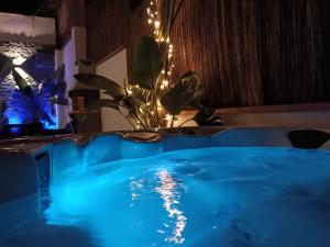 Un jacuzzi con una planta en una habitación con luces. en Can Masia, en Olivella