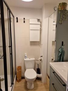 een kleine badkamer met toilet en wastafel bij Beau studio rénové tout confort in Saint-Mandrier-sur-Mer