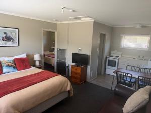 a bedroom with a bed and a television in it at Lumsden Motel in Lumsden