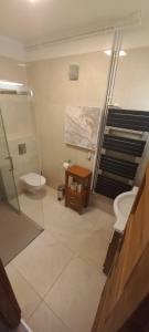 IHB-Inter House of Balaton في زاماردي: حمام به درج ومرحاض ومغسلة