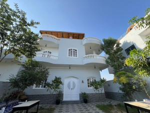 a white building with trees in front of it at Panorama Hotel in Luxor