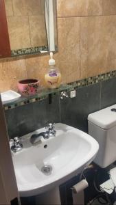 a bathroom with a white sink and a toilet at Vientoafavorcabanas in Chascomús