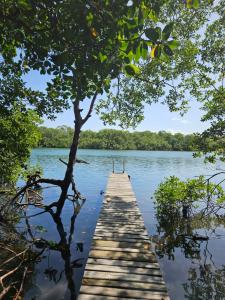 a wooden dock in the middle of a lake at Ap Aconchego Carapitangui in Barra Grande